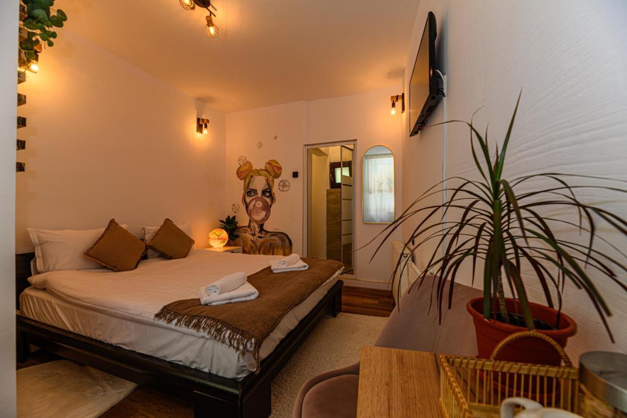Backpacker'S Room Braşov Esterno foto
